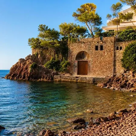Mistral In Santa-lucia * Saint-Raphaël