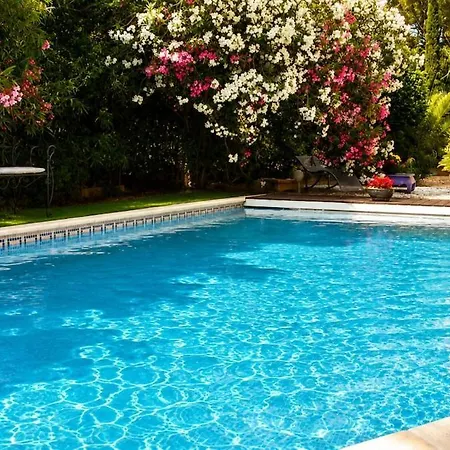 Mistral In Santa-lucia *